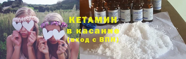 шишки Абаза