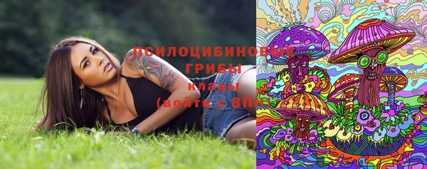 не бодяженный Алзамай