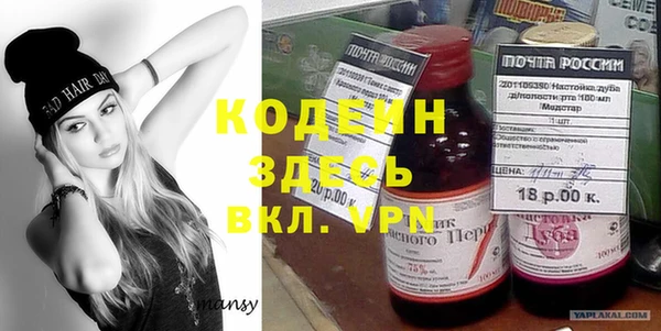 шишки Абаза