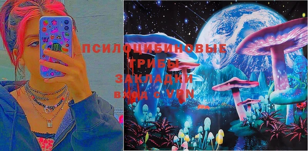 амф Алексин