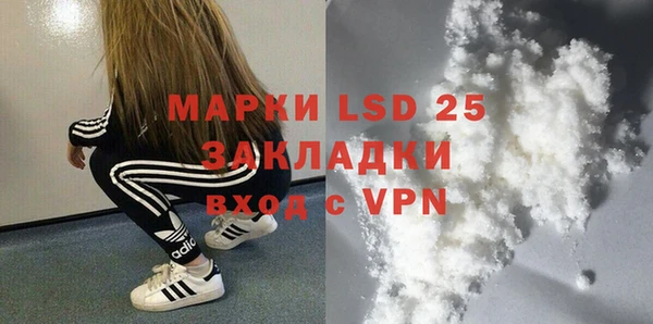 шишки Абаза