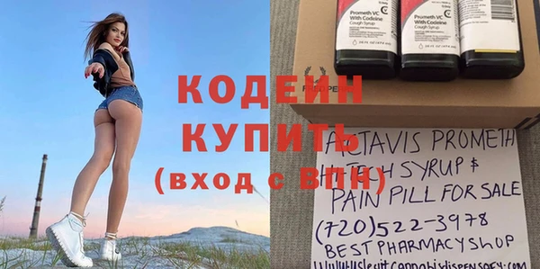 шишки Абаза