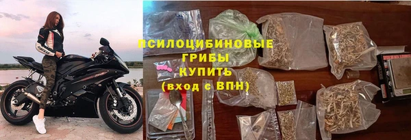 шишки Абаза