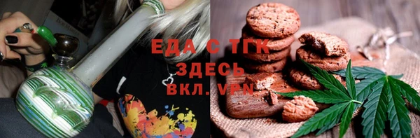 шишки Абаза