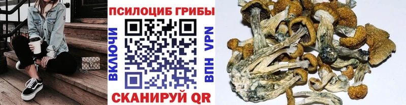 Галлюциногенные грибы мицелий ОМГ ОМГ рабочий сайт Дальнереченск