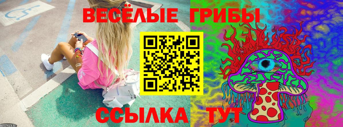 Дальнереченск  Псилоцибиновые грибы MAGIC MUSHROOMS  Вход с VPN 