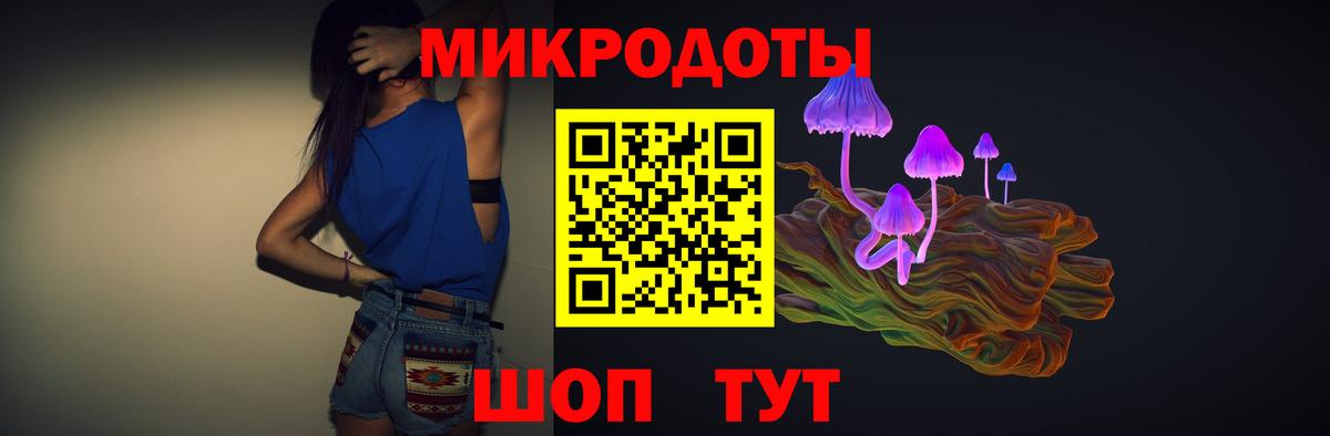 Псилоцибиновые грибы Psilocybine cubensis Дальнереченск